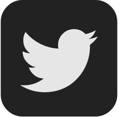 twitter icon